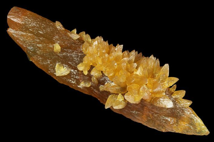 Amber-Yellow Calcite Crystals - Highly Fluorescent! #177286